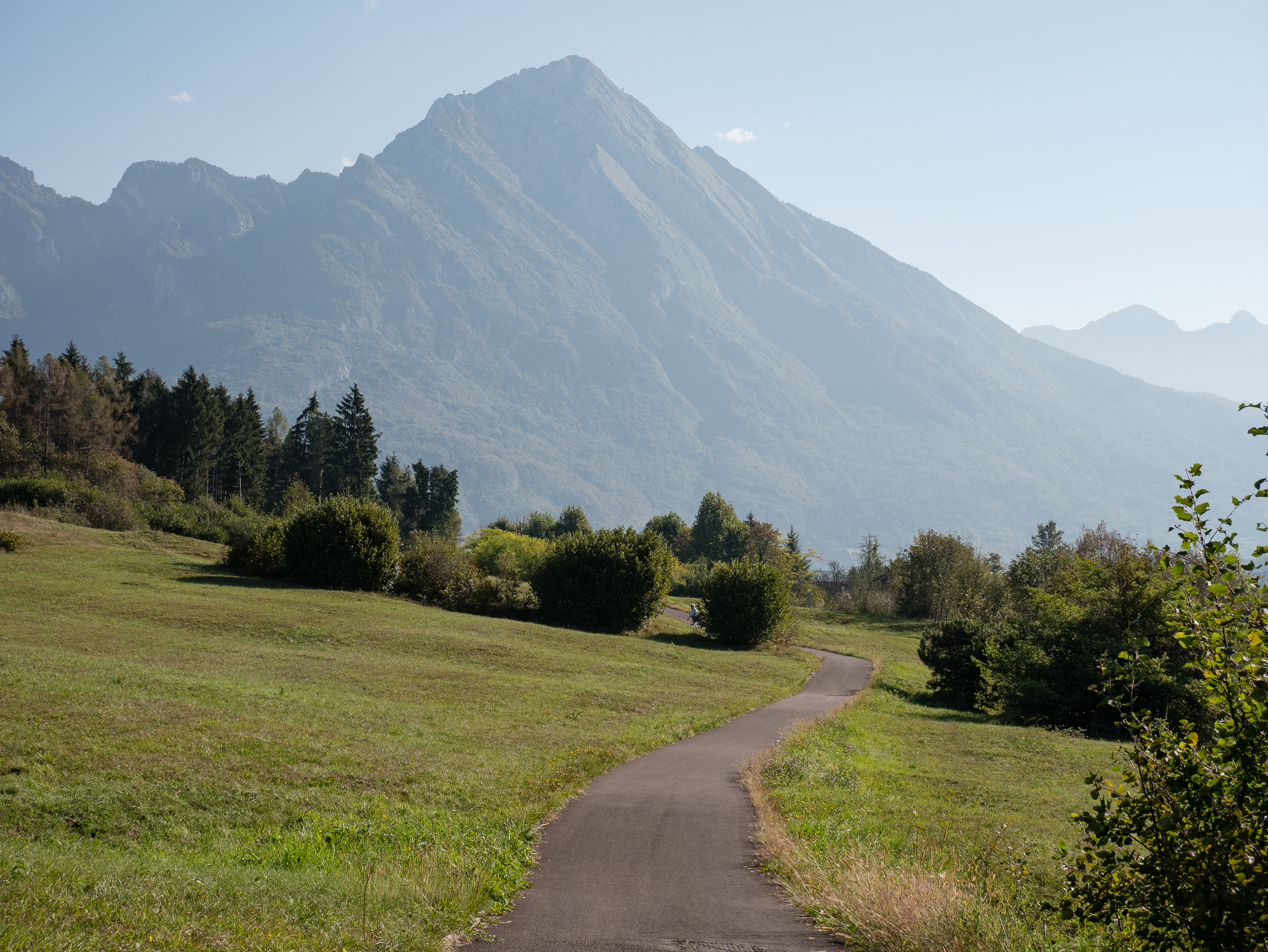 Radweg durch die Wiesen, dahinter die Voralpen